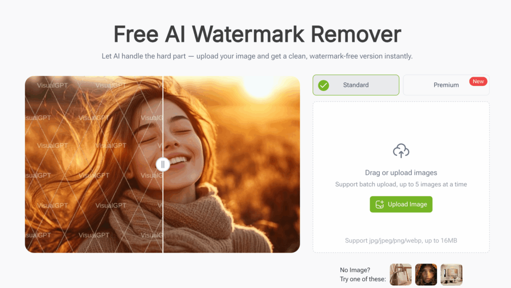 VisualGPT watermark remover