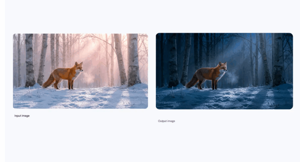 Lighting and focus controls applied to transform a scene from day to night.