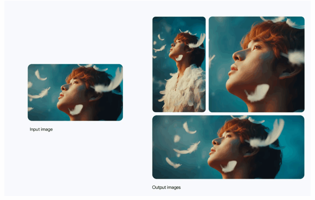 Change the look and feel of an image for a range of platforms by adapting the aspect ratio.