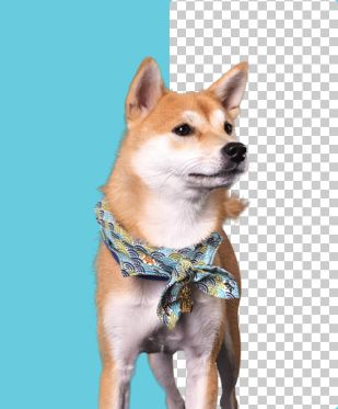 Conclusion & How You Can Try It